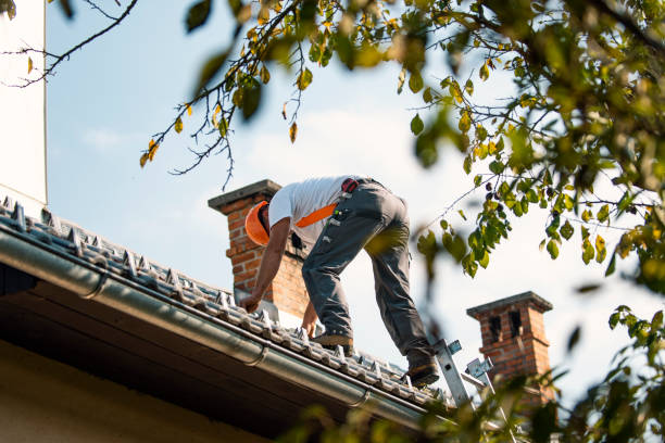 Best Storm Damage Roof Repair  in Alexandria, LA